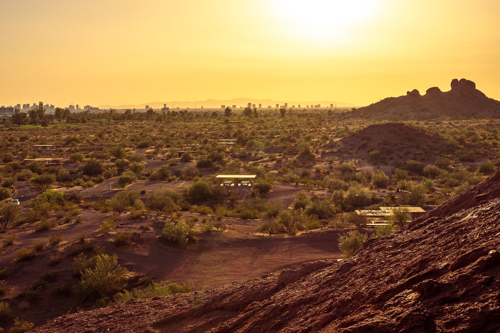 Sonoran Desert buttes and palms at Papago Park in Phoenix, Arizona